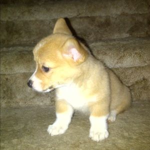 Meet your Posher, Jody